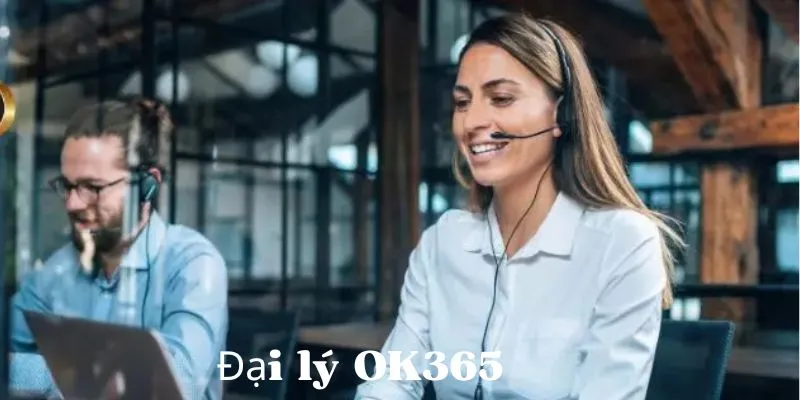 Tìm hiểu đôi điều về chính sách đại lý tại OK365